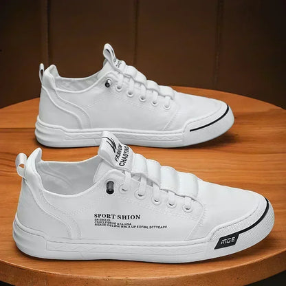 Men’s Casual Walking Shoes
