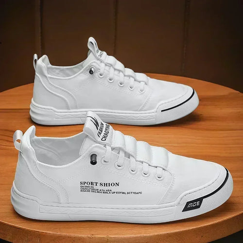 Men’s Casual Walking Shoes